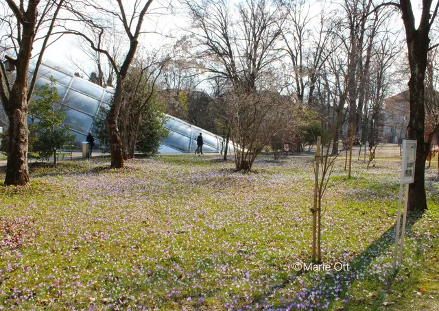 Botanischer Garten, Graz, Frühling