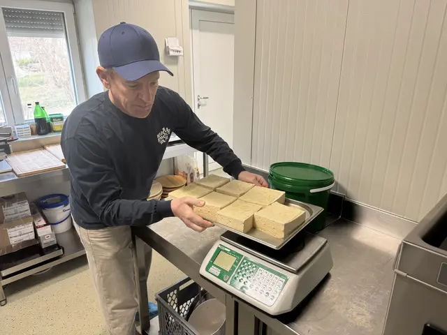 Andi Knoll in der Tofu-Produktion | Foto: Ö3