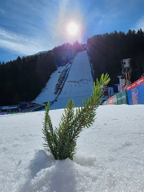 Foto: Monika Rossmanith