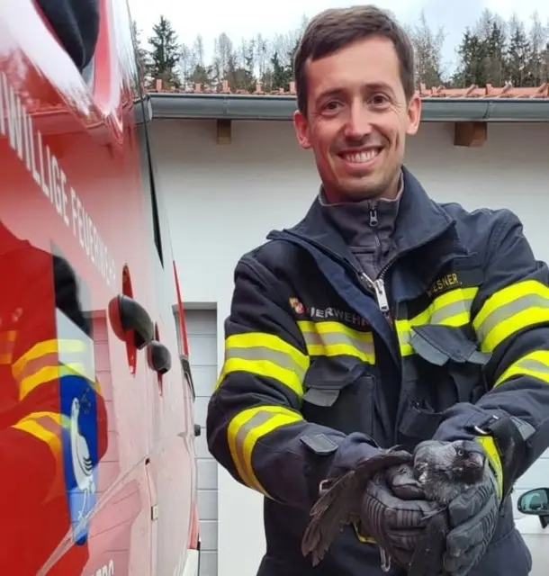 Die Dohle konnte gerettet und in die Freiheit entlassen werden. | Foto: FF Kromberg