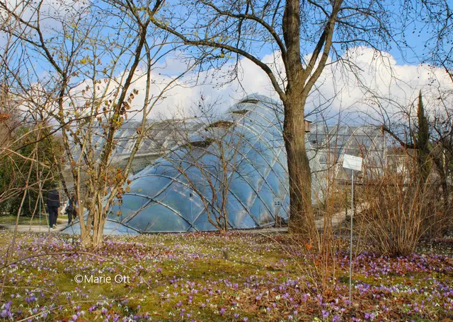 Botanischer Garten, Graz, Frühling