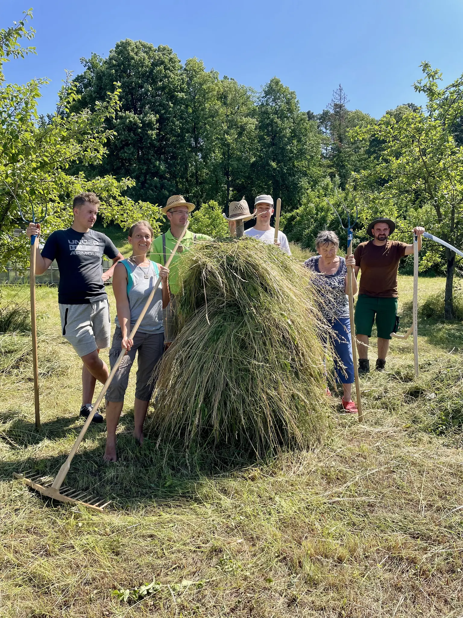 Schwarzau am Steinfeld: Erdenraum Association preserves the former ...
