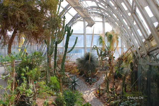 Botanischer Garten, Graz