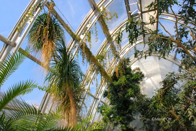 Botanischer Garten, Graz