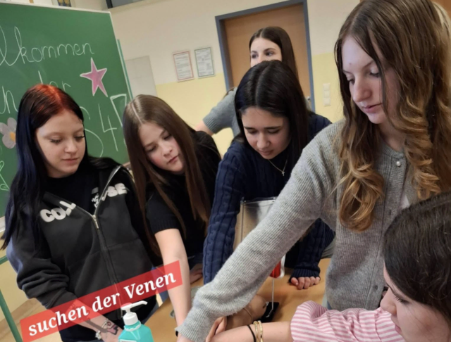 Kelly Herzog, Xenia Stanzl-Böhme, Viktoria Koch, Jasmin Lindtner und Ayah Mohamad suchen an einem Übungsarm die Venen. | Foto: PTS Horn