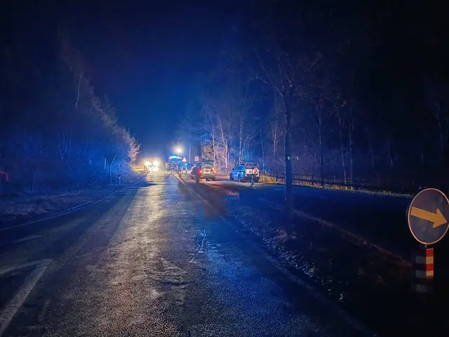 Foto: Freiwillige Feuerwehr Lölling