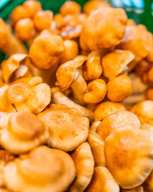 Nameko: mildes, nussiges Aroma mit erdigen Noten.  | Foto: Pompilz