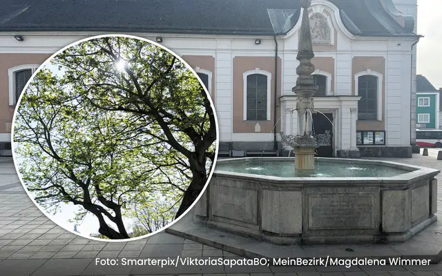 In den bisherigen Gesprächen kristallisierten sich klare Wünsche der Grieskirchner heraus: Beschattung, Begrünung und gute Sitzmöglichkeiten. | Foto: Smarterpix/ViktoriaSapataBO, MeinBezirk/Magdalena Wimmer, Grafik: Ursula Kohlberger