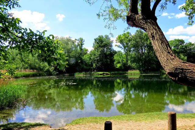 Die Bürgerinitiative „Esslinger für die LobAu“ will das Bewusstsein für die Bedeutung der Lobau stärken und auf die zunehmenden Bedrohungen aufmerksam machen. | Foto: Lieselotte Fleck
