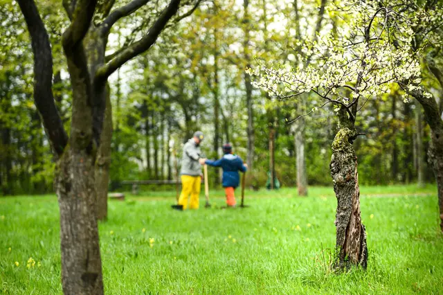 Foto: Obststadt-WIEN  