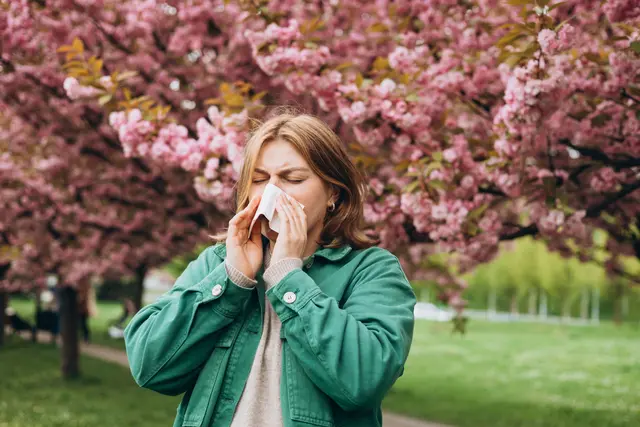 Im Frühjahr leiden sehr viele Menschen unter Allergien. Um eine Allergie zu diagnostizieren, braucht es allerdings vorab eine Abklärung.  | Foto: Panthermedia/MarySkovpen