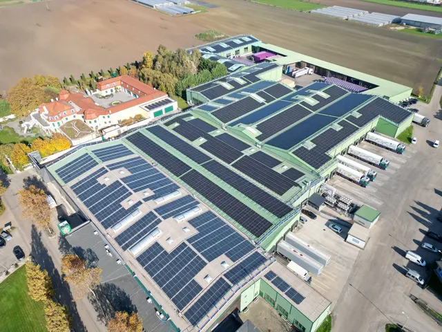 Mit einem großflächigen Dachflächen-Photovoltaikprojekt treibt Perlinger Gemüse gemeinsam mit Burgenland Energie die regionale Energiewende entscheidend voran.  | Foto: Burgenland Energie AG