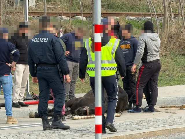 Der Fall wird jetzt genauer geprüft, so das Veterinäramt. | Foto: VGT