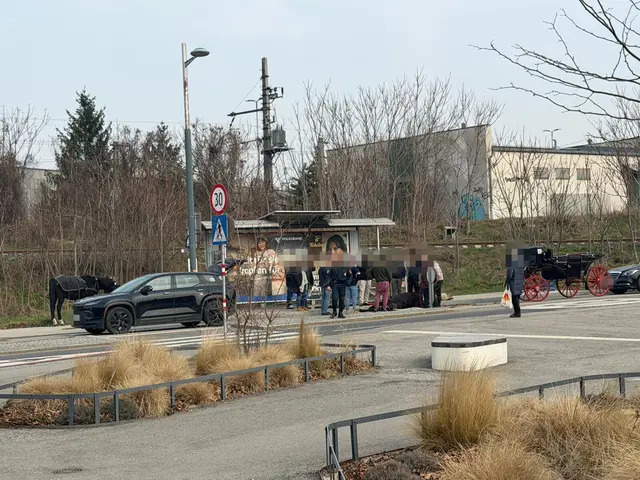 Der Vorfall fand in aller Öffentlichkeit statt. | Foto: VGT