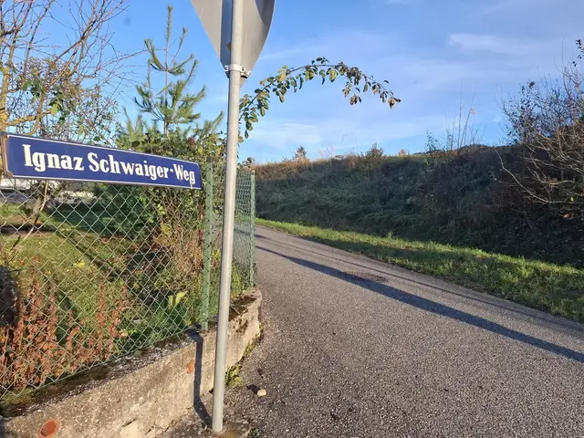 Bekommt der Motorboot-Weltmeister und zweifache Europameister "seinen" Johann Kronsteiner Weg?  | Foto: Zinterhof