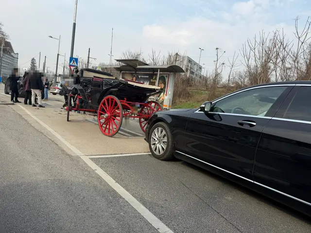 Foto: VGT