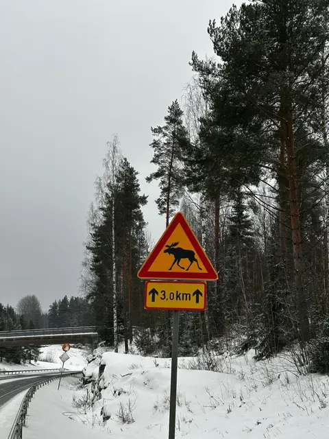 Foto: Willi Opitz