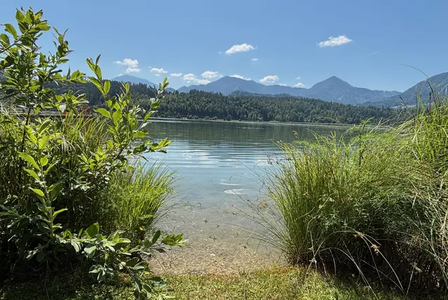 Der Gösselsdorfer See ist ein Naturjuwel und beliebtes Badeziel in der Marktgemeinde Eberndorf. | Foto: MeinBezirk.at
