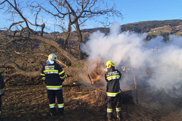 Der Baum musste gefällt werden. | Foto: Feuerwehr Schiefling im Lavanttal