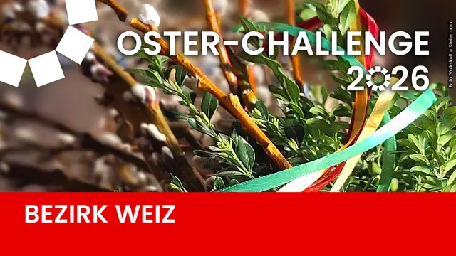 Im Rahmen der Oster-Challenge 2026 machen sich MeinBezirk, die Volkskultur Steiermark und die steirischen Blumenschmuck Gärtner heuer auf die Suche nach dem schönsten Palmbuschen der Steiermark. | Foto: Volkskultur Steiermark/MeinBezirk