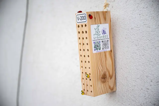 Das 200. Wildbienenhotel steht für Artenvielfalt.  | Foto: BMLUK/Hemerka