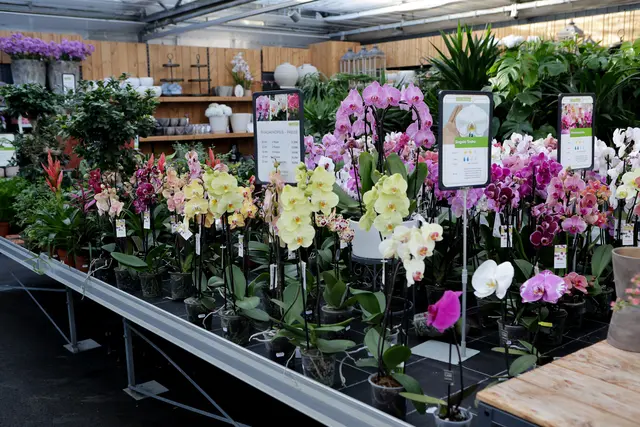 Foto: eventfoto Maringer / Gärtnerei Dopetsberger