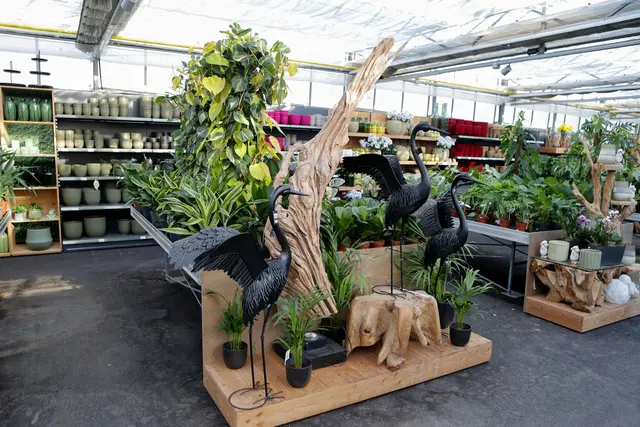 Foto: eventfoto Maringer / Gärtnerei Dopetsberger
