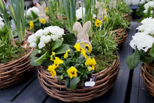 Foto: eventfoto Maringer / Gärtnerei Dopetsberger