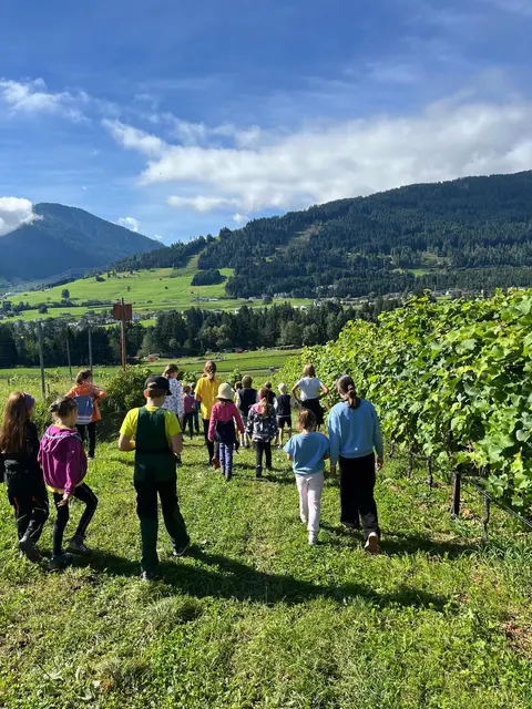 Der Weingarten in Itzlranggen ist ein gutes Beispiel für die Vielfalt in der Tiroler Landwirtschaft.  | Foto: Gutleben