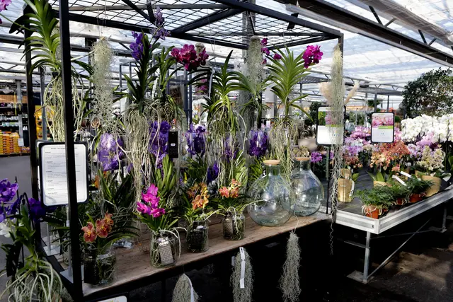 Foto: eventfoto Maringer / Gärtnerei Dopetsberger