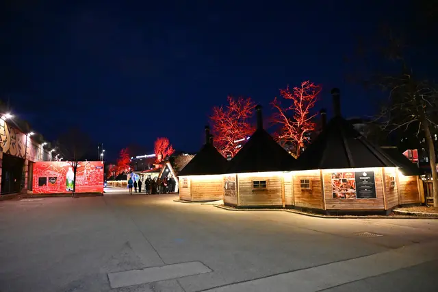 Foto: Friederike M. Schuster