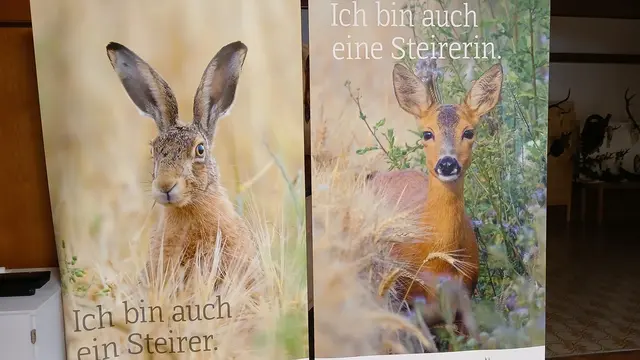 Foto: Josef Hofmüller