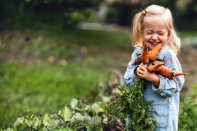 Bei den Veranstaltungen lernen die Besucherinnen und Besucher wie man seltene Gemüsesorten im eigenen Garten anpflanzen kann. | Foto: Foto: Adobe Stock/shmartova