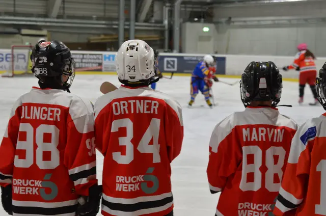 Kärntenliga Lions Cup Finaltag 2 in Ferlach. | Foto: WAFO