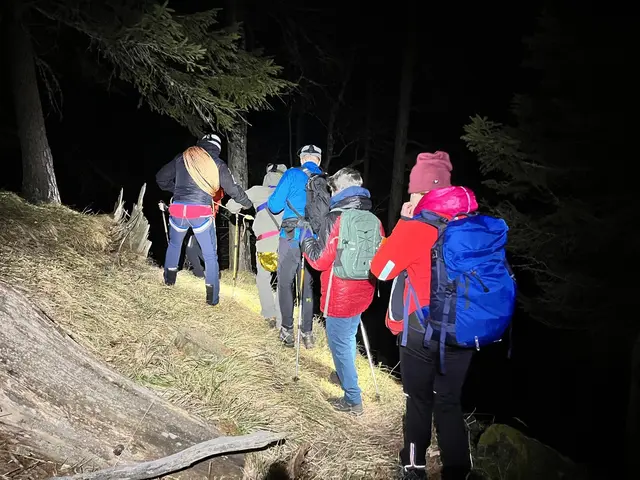 Die beiden Wanderer wurden von den Bergretterinnen und Bergrettern ins Tal gebracht.  | Foto: ÖBRD Mürzzuschlag