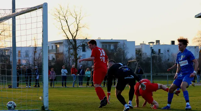 Foto: Manuel Handlfinger/ ONEshot sportimages