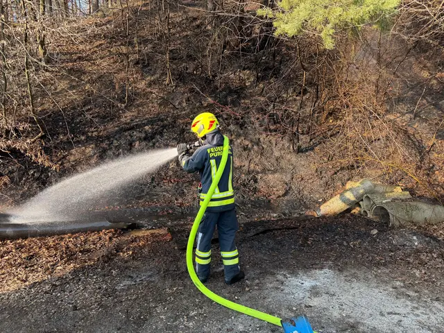 Brand einer Freifläche in Petzelsdorf rasch eingedämmt. | Foto: DOKU-NÖ