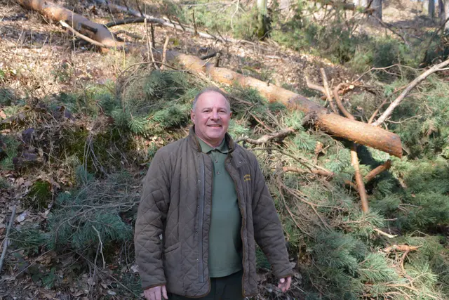 Bezirksförster Michael Kefeder erklärt im MeinBezirk-Interview das Ausmaß der Schneeschäden in den Wäldern des Bezirks. | Foto: Mein Bezirk/Rosenberger Victoria