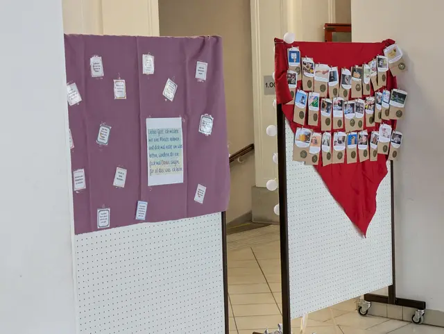 Foto: (c) Bundesgymnasium Babenbergerring