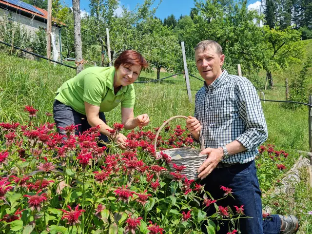 Das Geheimnis hinter der preisgekrönten Marmelade