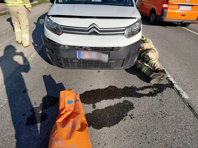 Foto: FF Pressbaum