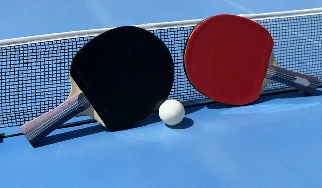 Das österreichische Sportministerium hat am Montag einen Förder- und Abrechnungsstopp gegen den heimischen Tischtennisverband ÖTTV verhängt. (Symbolbild) | Foto: sinenkiy/Smarterpix
