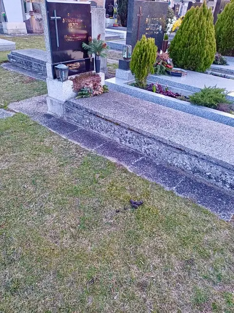 Kacke am Friedhof erhitzt die Gemüter. | Foto: privat