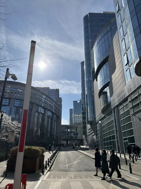 Foto: Sandra Schütz