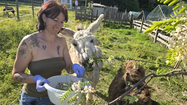 Juniorchefin Eva-Maria Unger ist die gute Seele des Hauses und kümmert sich gut um die tierischen Mitbewohner. | Foto: Familie Unger