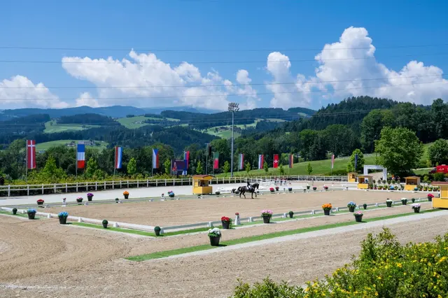 Foto: Stücklerhof