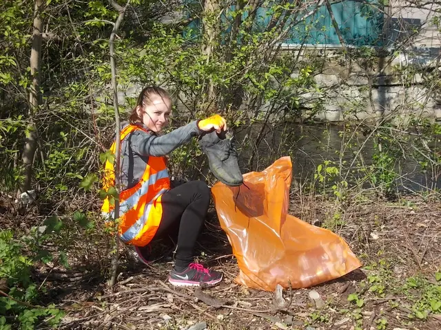 Nicht nur die Primeln strecken jetzt ihre Köpfe durch die Erde, besonders am Straßenrand kommen auch Flaschen, Plastiksackerl und sonstiger Müll zum Vorschein.  | Foto: Gemeinde Himberg