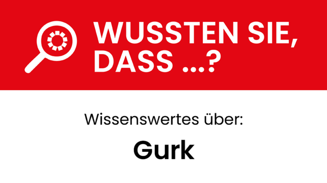 Wissenswertes über Gurk