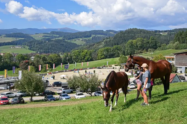Foto: Stücklerhof