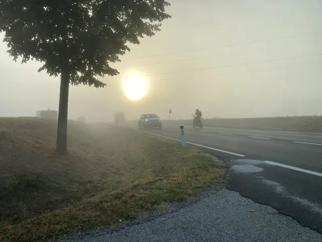 Die tief stehende Sonne sorgt jedes Jahr für einen merkbaren Anstieg bei Verkehrsunfällen.  | Foto: ÖÄMTC